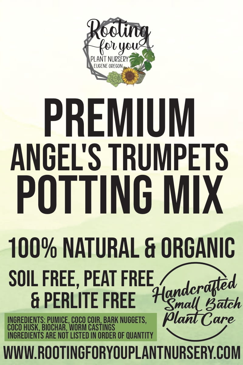 Angel Trumpet Premium Potting Mix