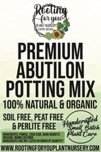 Load image into Gallery viewer, Abutilon Premium Potting Mix
