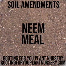 Load image into Gallery viewer, Neem Cake Neem Meal Soil Amendment 8oz Volume Resealable Bags Organic - Oregon Licensed Nursery - Measured in 8oz Volume 6x9x3 Bag
