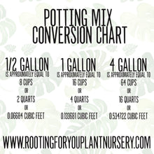 Load image into Gallery viewer, Abutilon Premium Potting Mix
